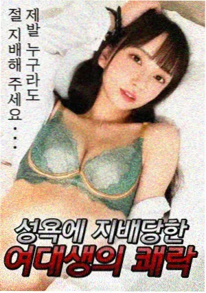 深夜档排期